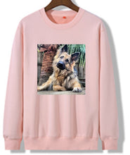 Load image into Gallery viewer, CUSTOM SWEAT JUMPER WITH VELVET LINING