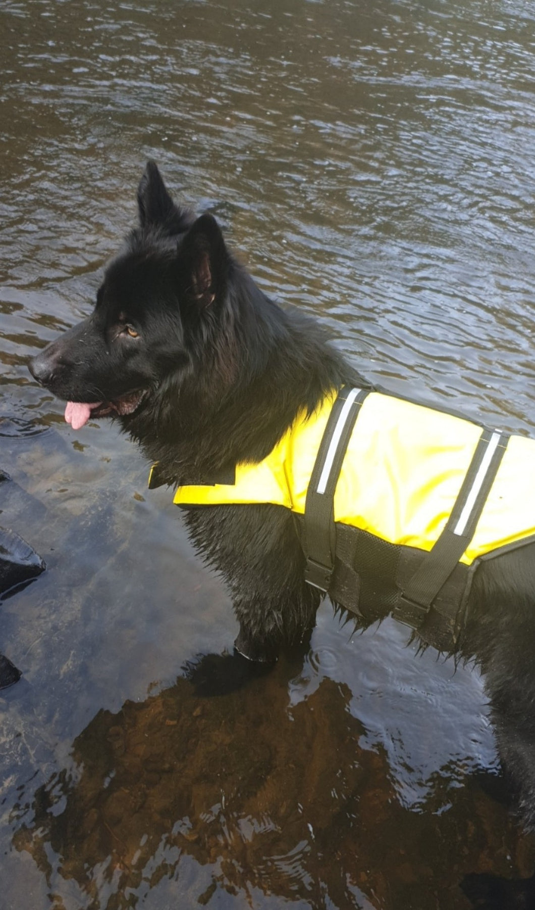 LIFE JACKETS