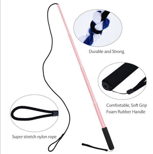 DOG TRAINING POLE TOY