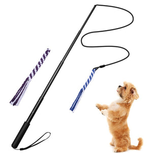 DOG TRAINING POLE TOY