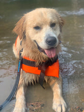 Load image into Gallery viewer, LIFE JACKETS