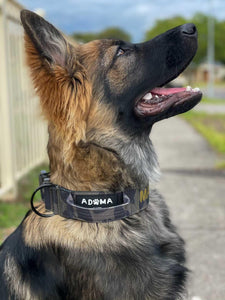 TACTICAL COLLAR