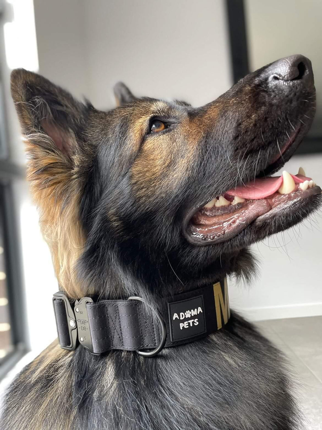 NO HANDLE TACTICAL COLLAR