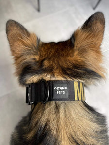 NO HANDLE TACTICAL COLLAR