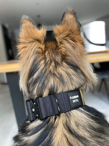 NO HANDLE TACTICAL COLLAR