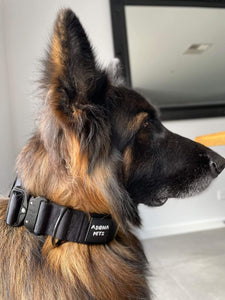 NO HANDLE TACTICAL COLLAR