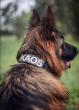 Load image into Gallery viewer, MILITARY COLLAR