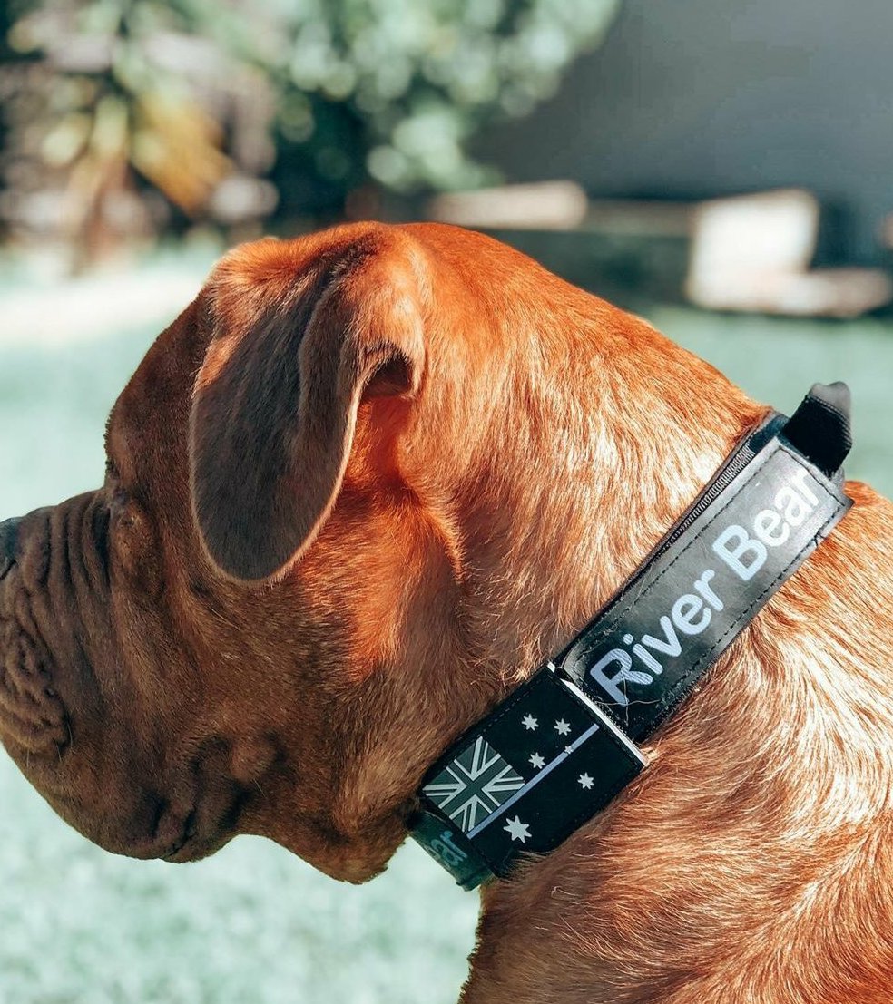 Custom velcro deals dog collar patches
