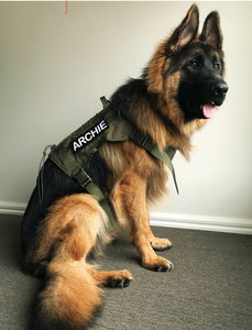 MILITARY HARNESS