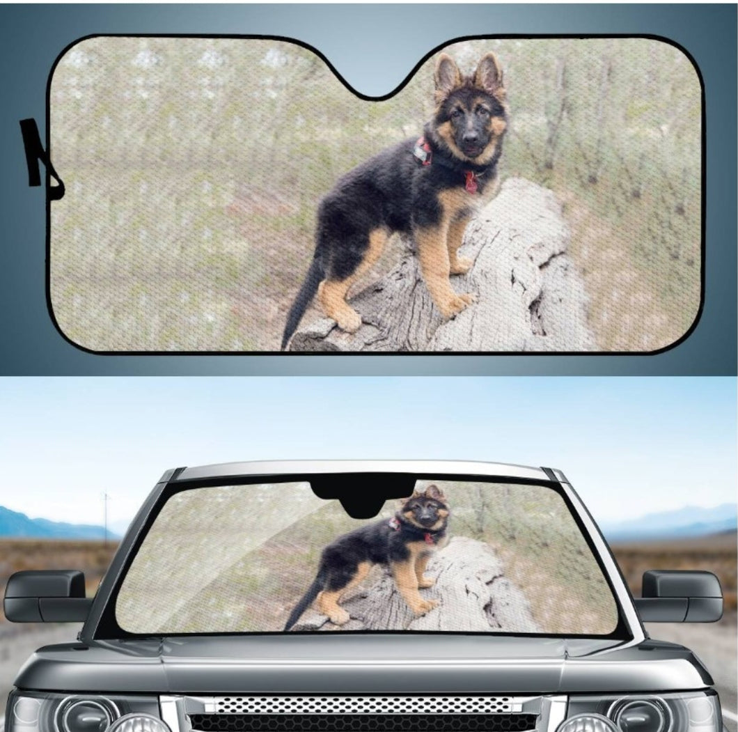 CAR SUN VISOR