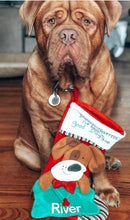 Load image into Gallery viewer, DOG CHRISTMAS STOCKING