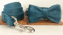 Load image into Gallery viewer, VELVET COLLAR
