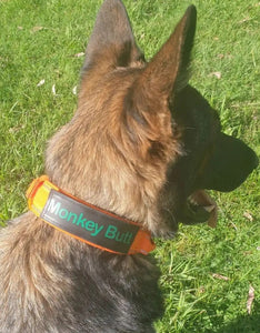 MILITARY COLLAR