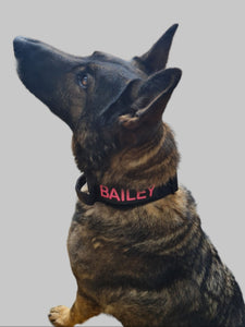 TACTICAL COLLAR